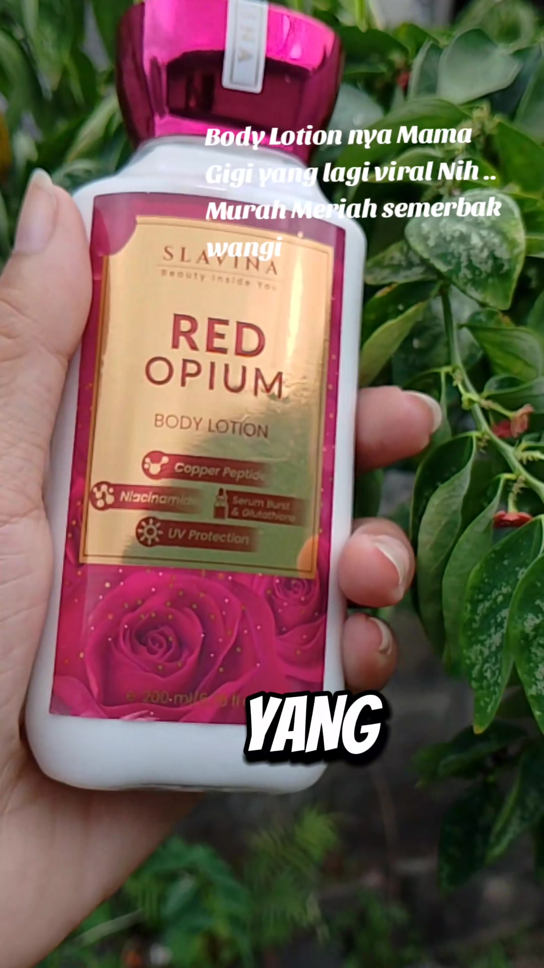 @Wahyu