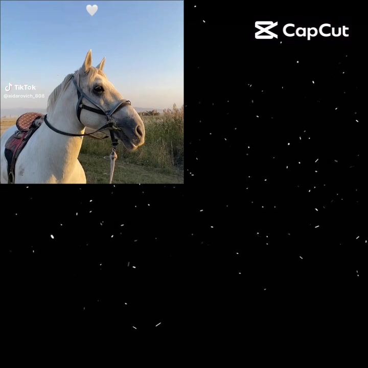 @❤️&zwj;🔥GAWANJAŇ ❤️&zwj;🔥LA&Yacute;❤️&zwj;🔥