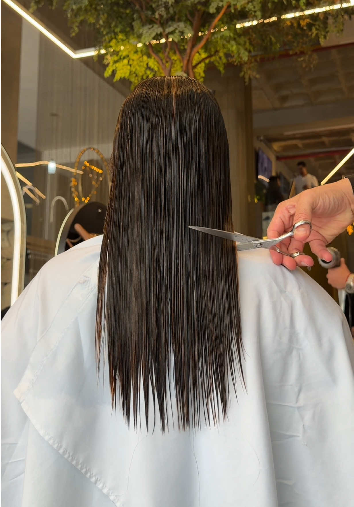 @Thiago Ximenes ✂️