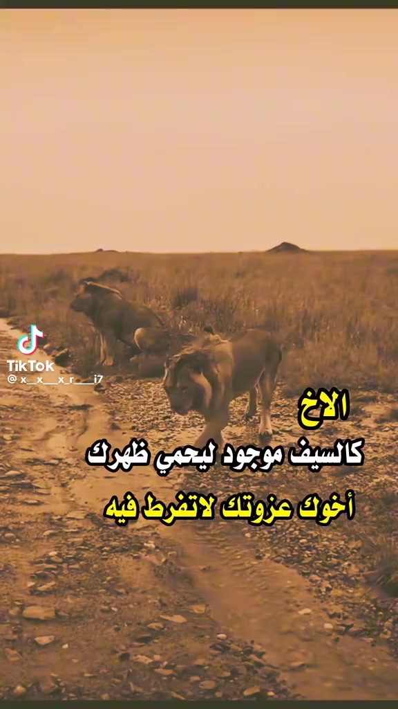 @طالب احمد