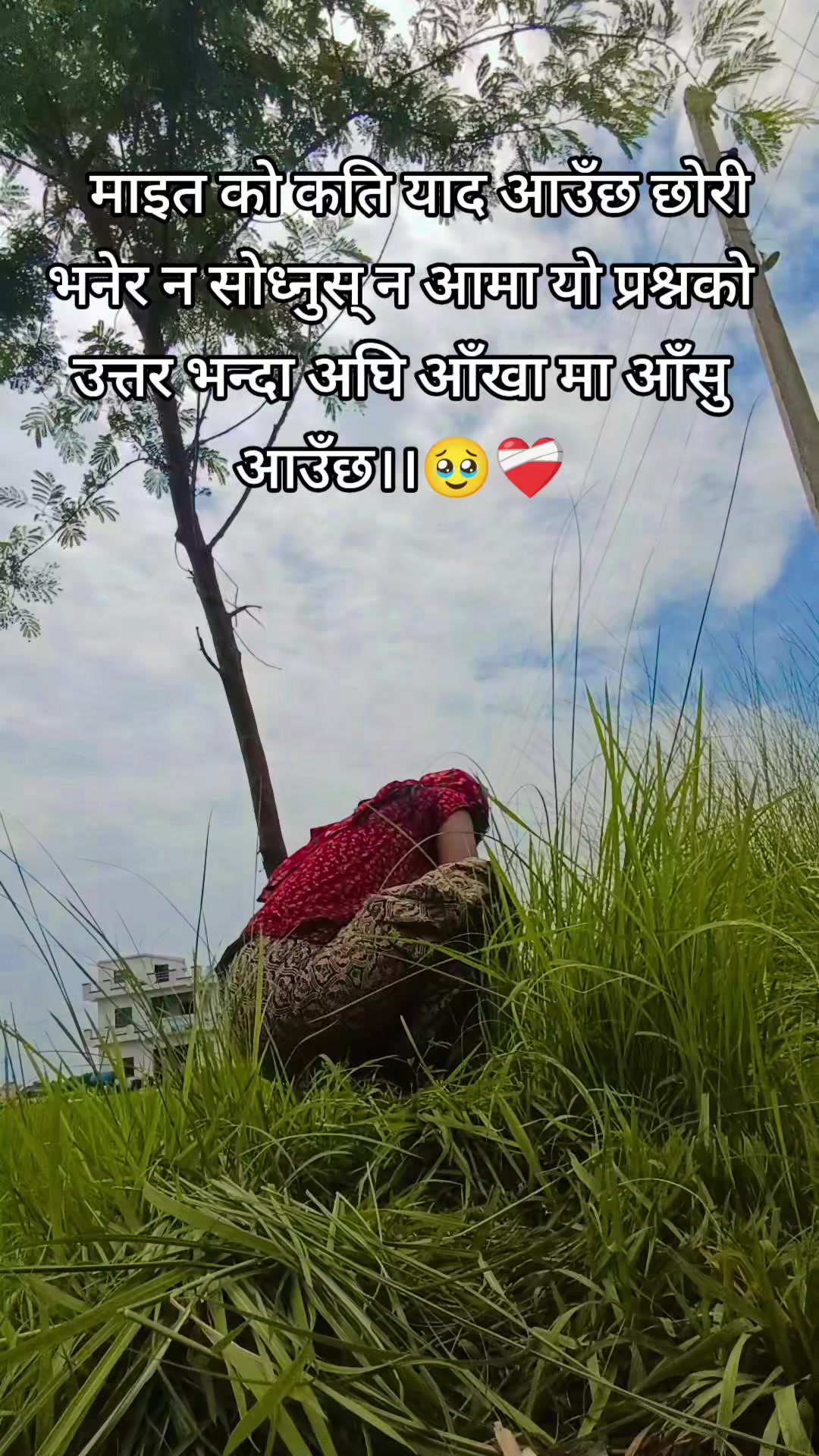 @Aani❤️