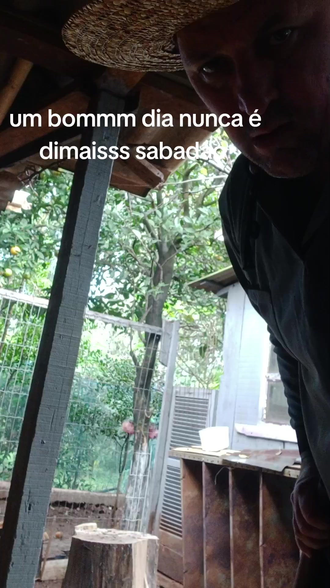 @baraldii