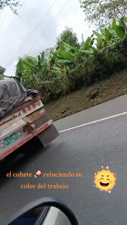 @el taya