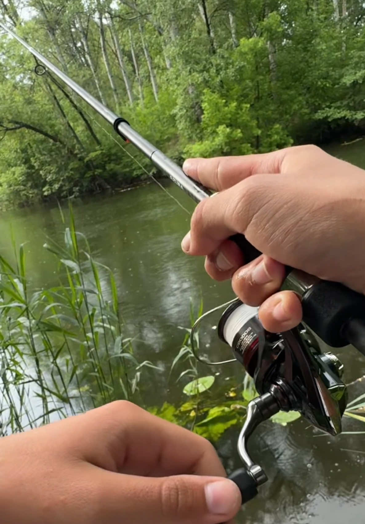 @𝗧𝗚.𝗗𝗬𝗫𝗙𝗜𝗦𝗛🎣