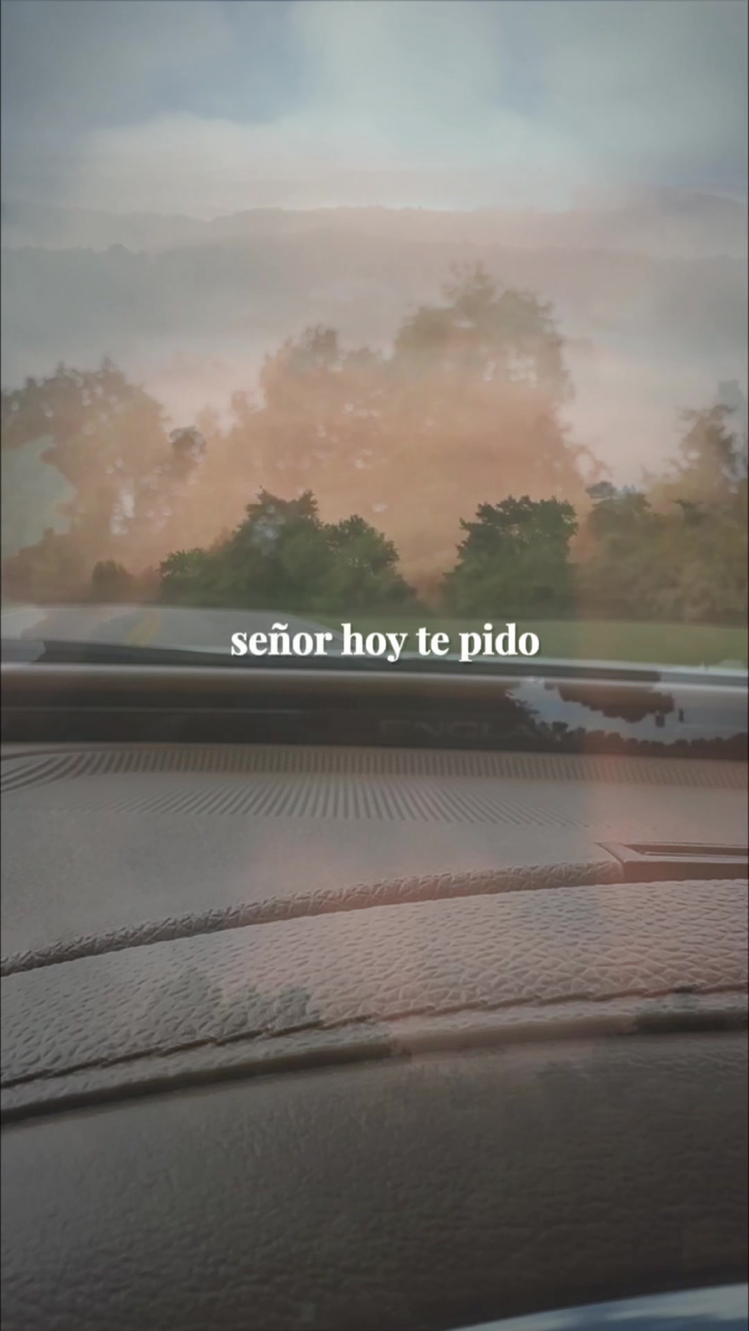 @🌺juanys🌺🍁