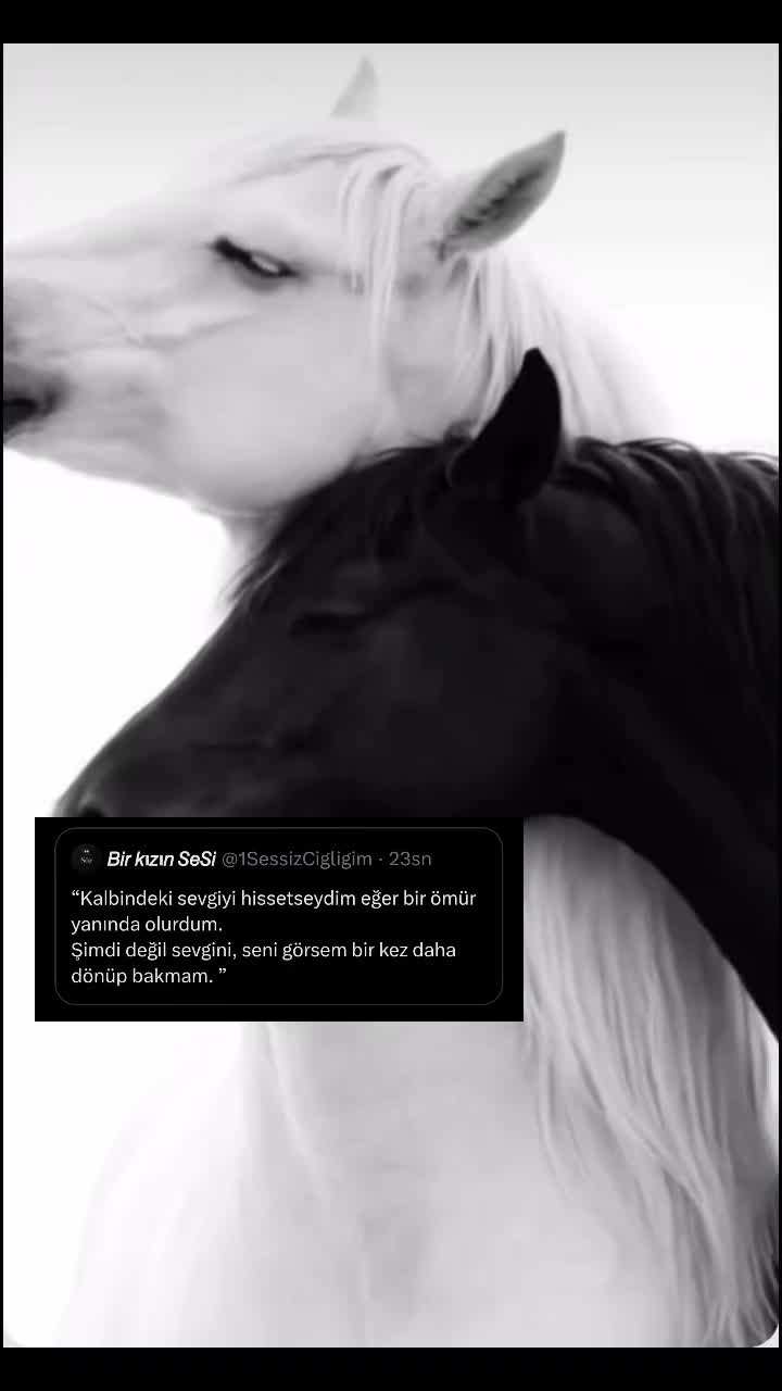 @_birKızınSeSi_
