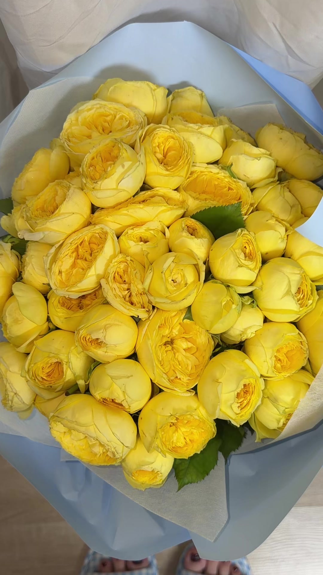 @guli___1101