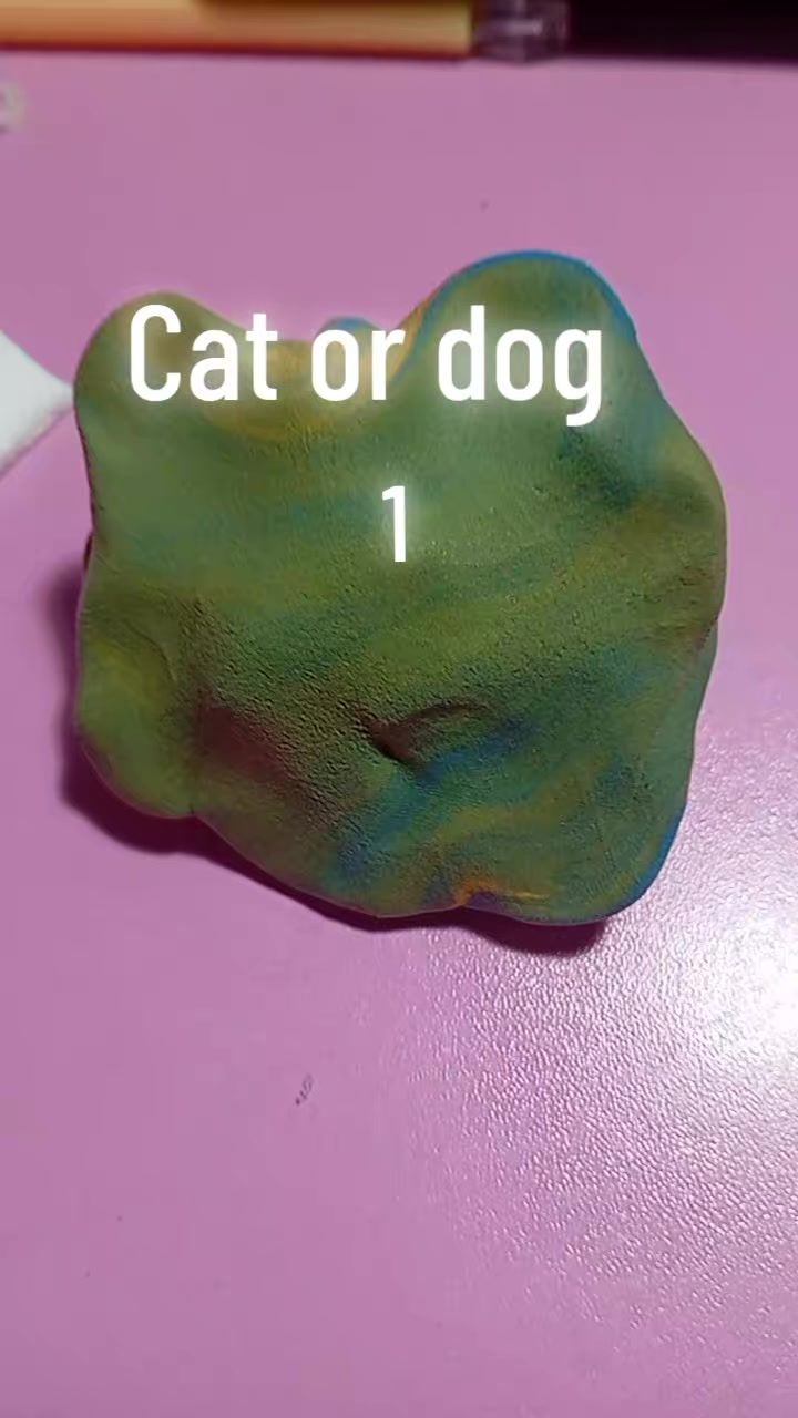 @amaliakot