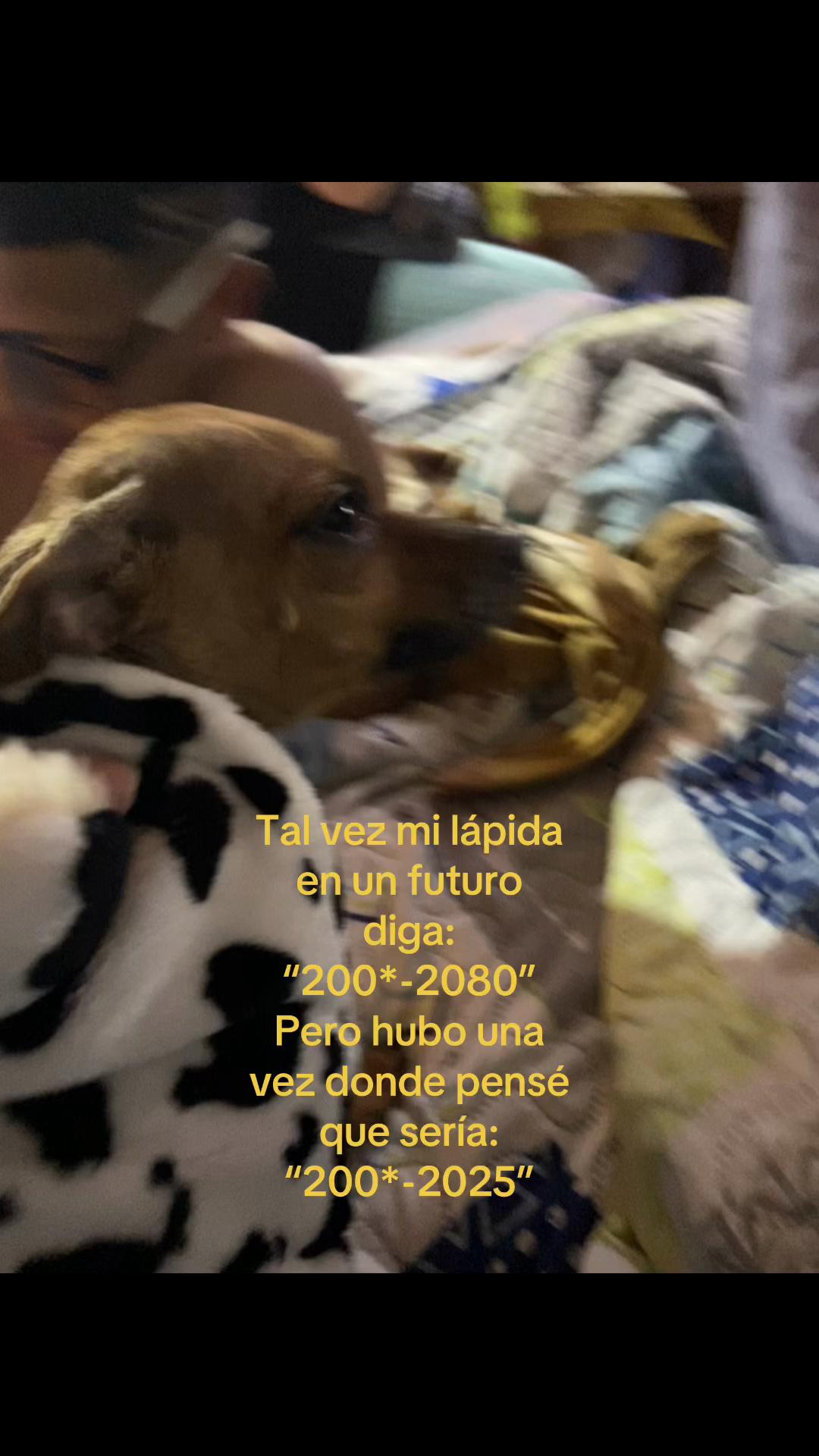 @¿ V I V I A N ?