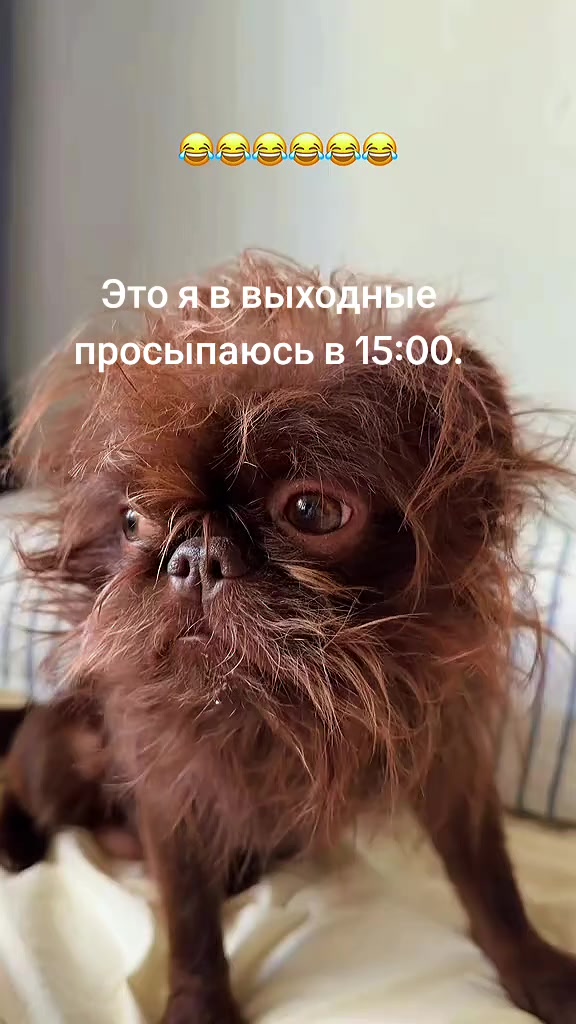 @Иннесса 🇷🇺🇷🇺🇷🇺
