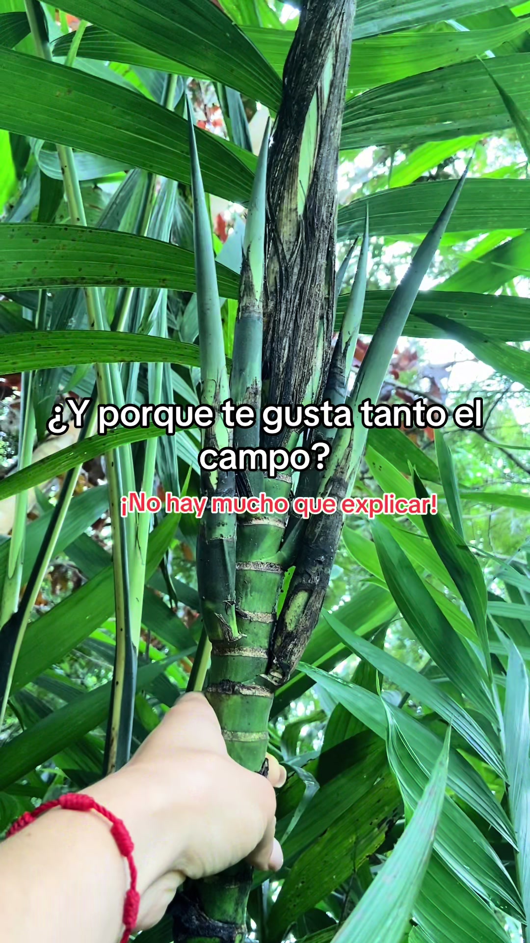 @Mary Estévez 4X4👩🏻🌾🚜☘️