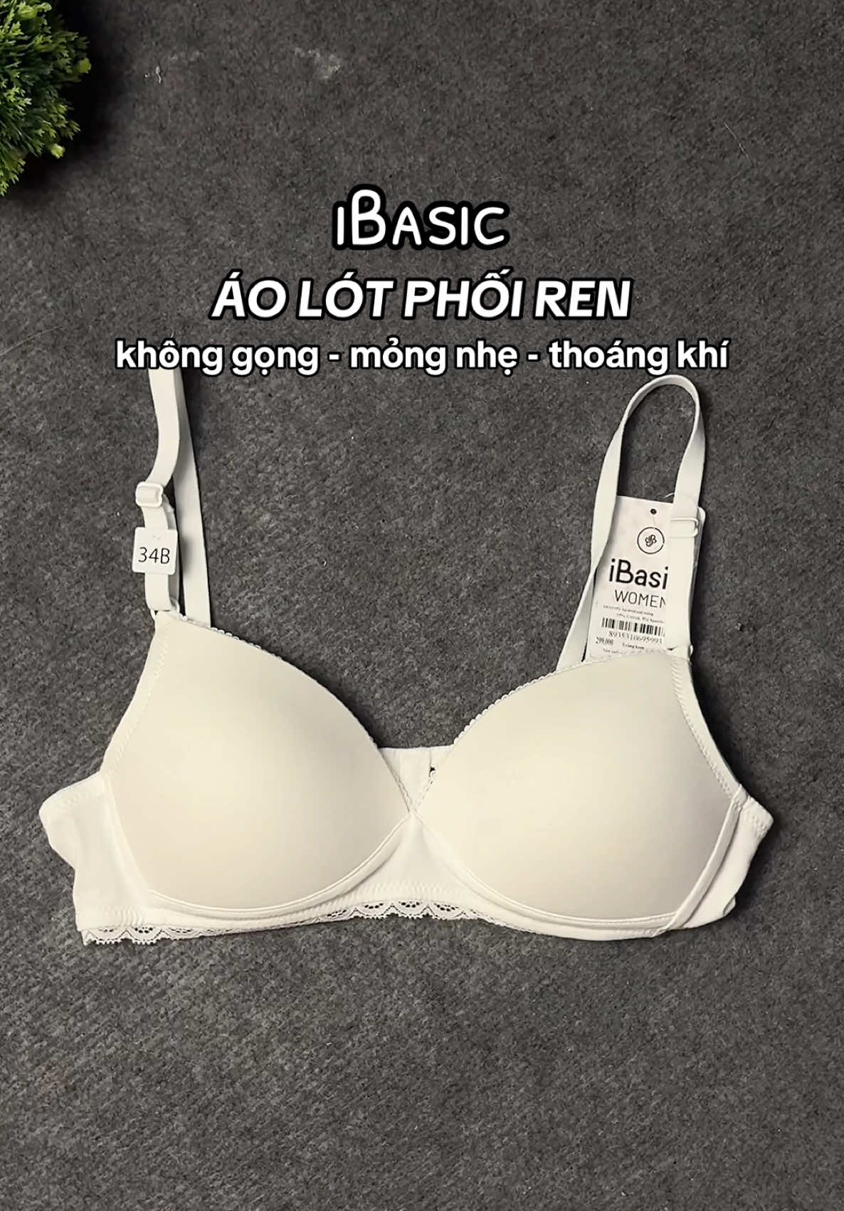 @lexinhne