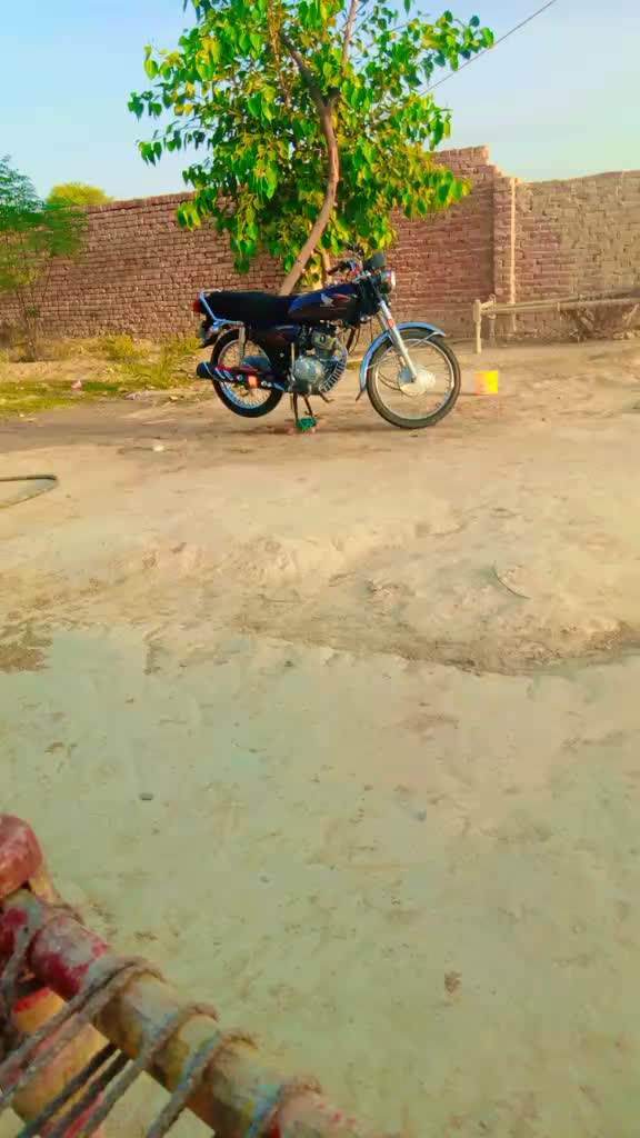 @munsib ali