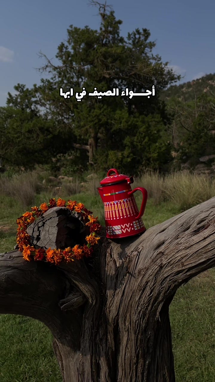 @مريـــــم الشهـــراني | أبها🏅