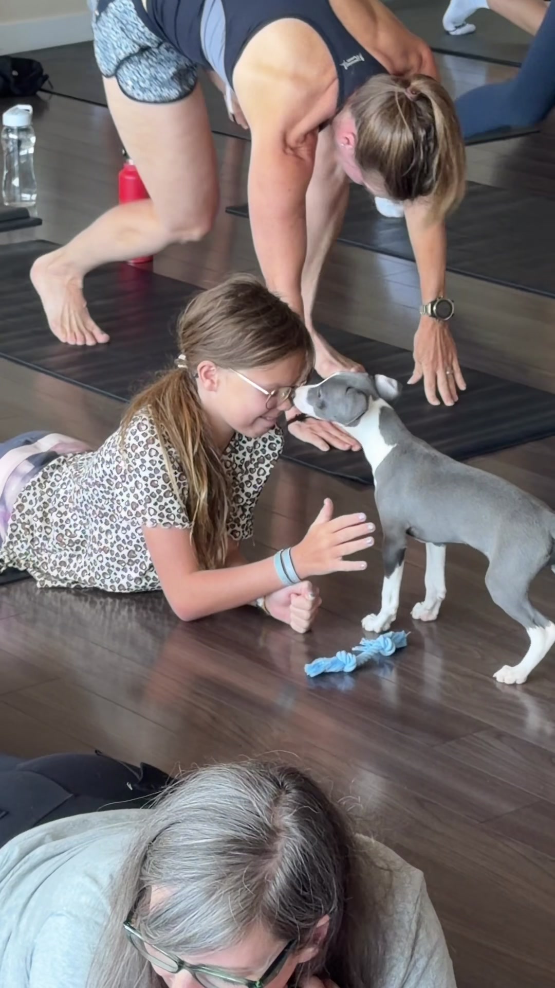 @Muskoka Puppy Yoga