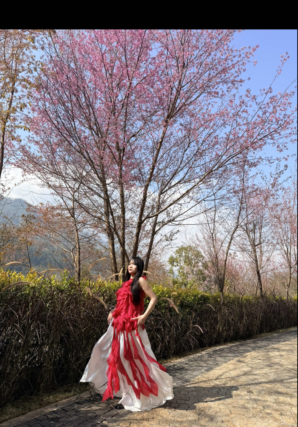 @Thuỳ L&ecirc;