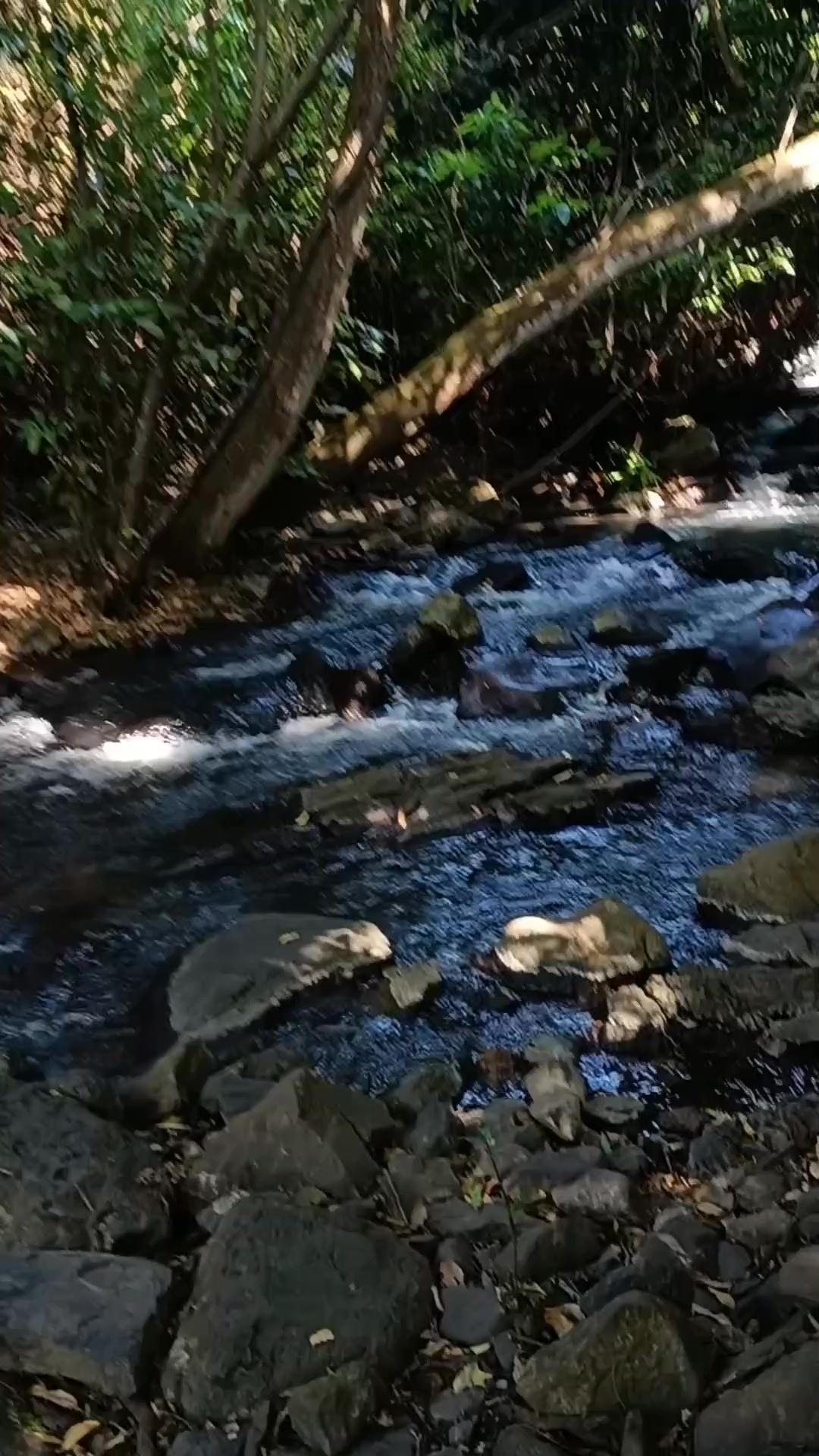 @Dani ❤️🔥