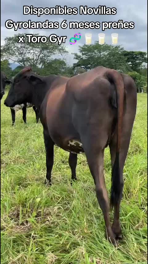 @gonzalezpaezjimmy