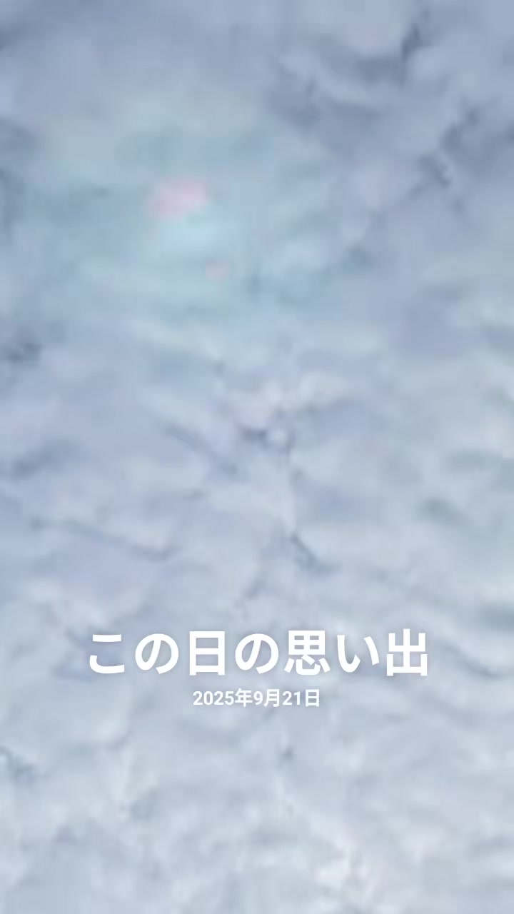 @🐬🐬あいか🐬🐬🌵