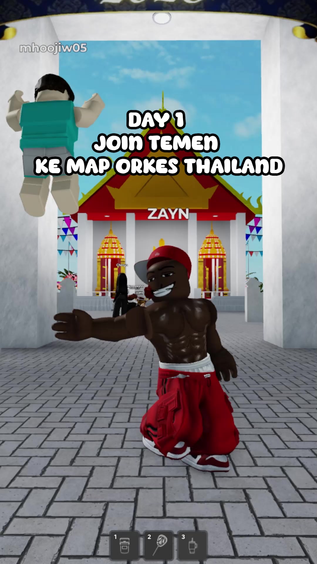 @ZAYN