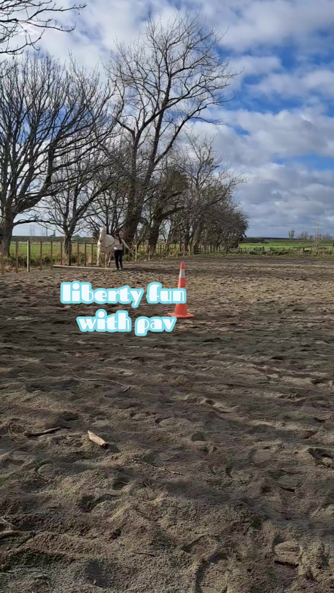 @abi