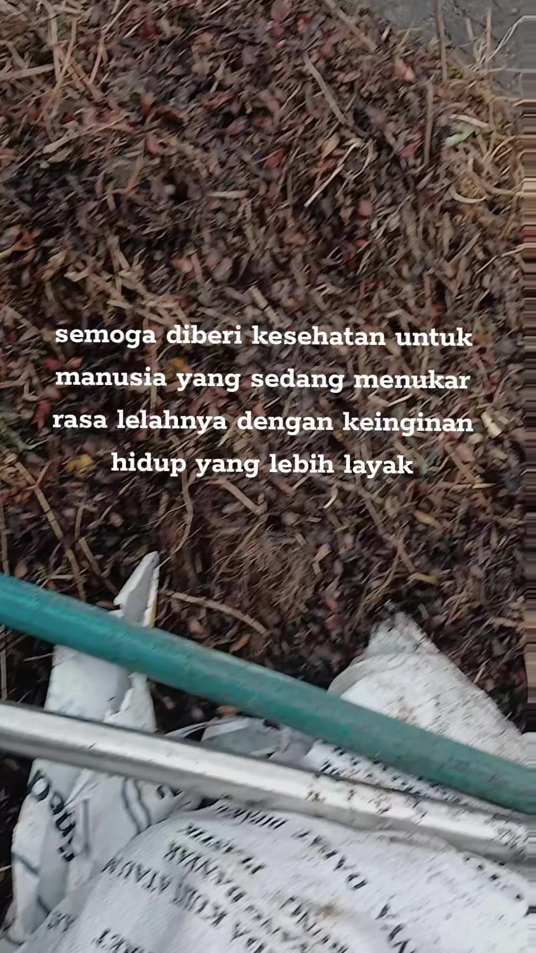 @yyudd69