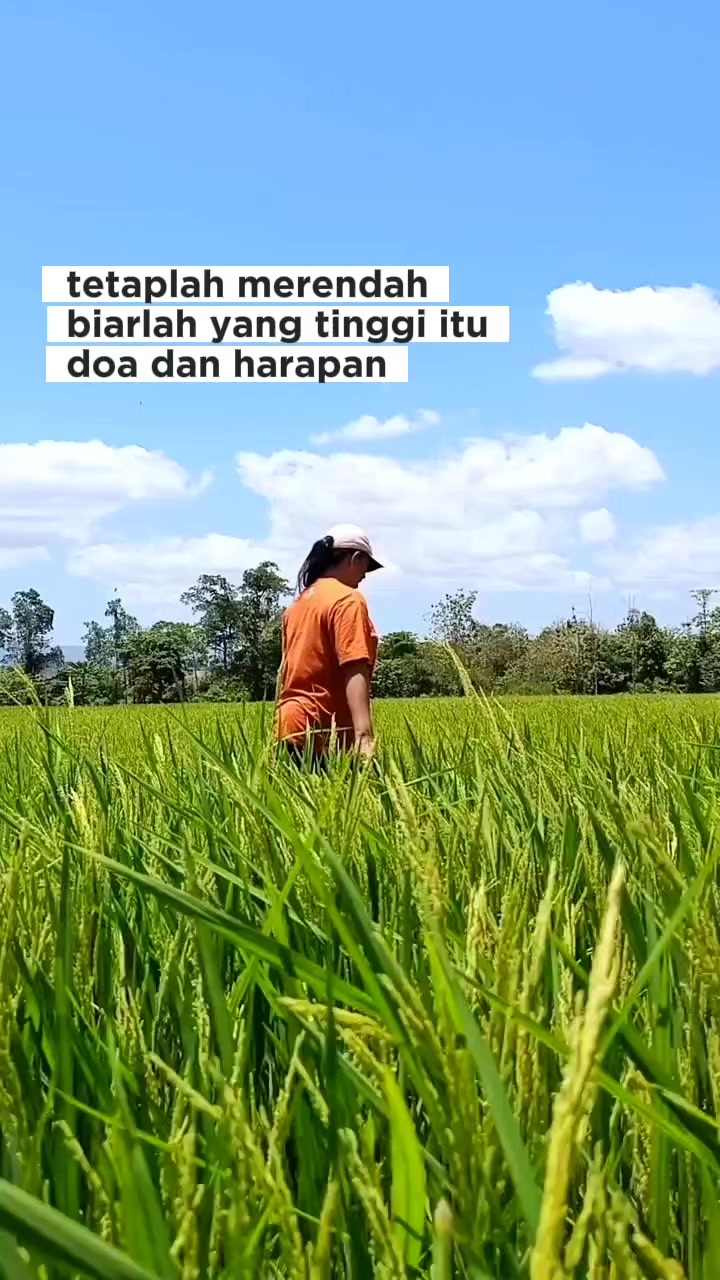 @Atin Sulawesi