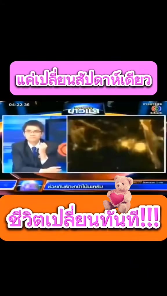 @เก้สายฮาพาเฟิร์ม