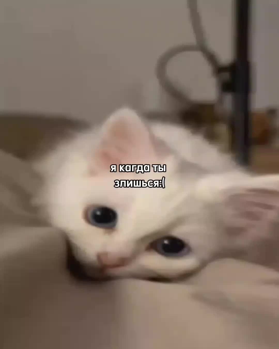 @ꜰᴇɴʏᴀ@