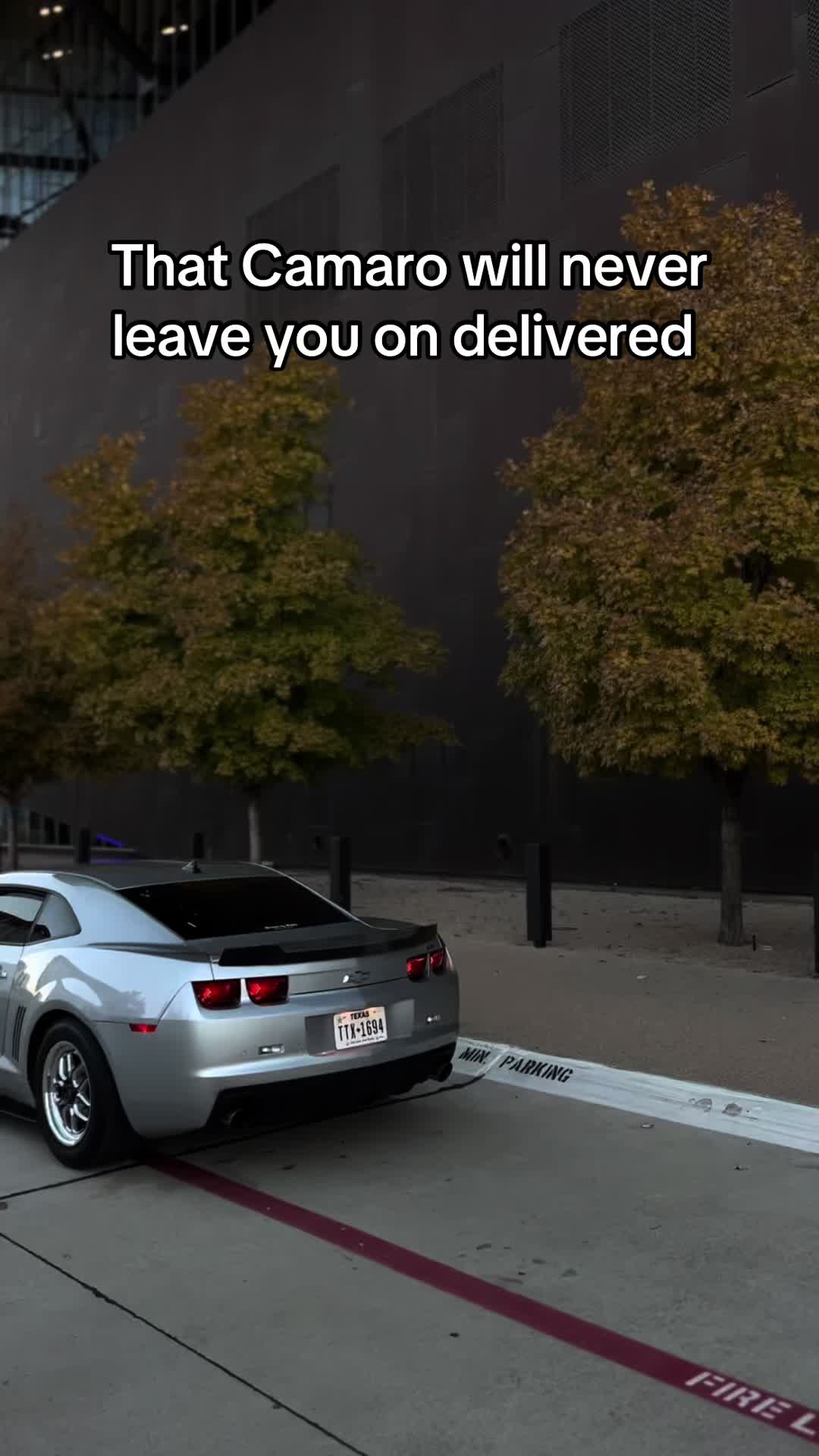 @zmxjesusl