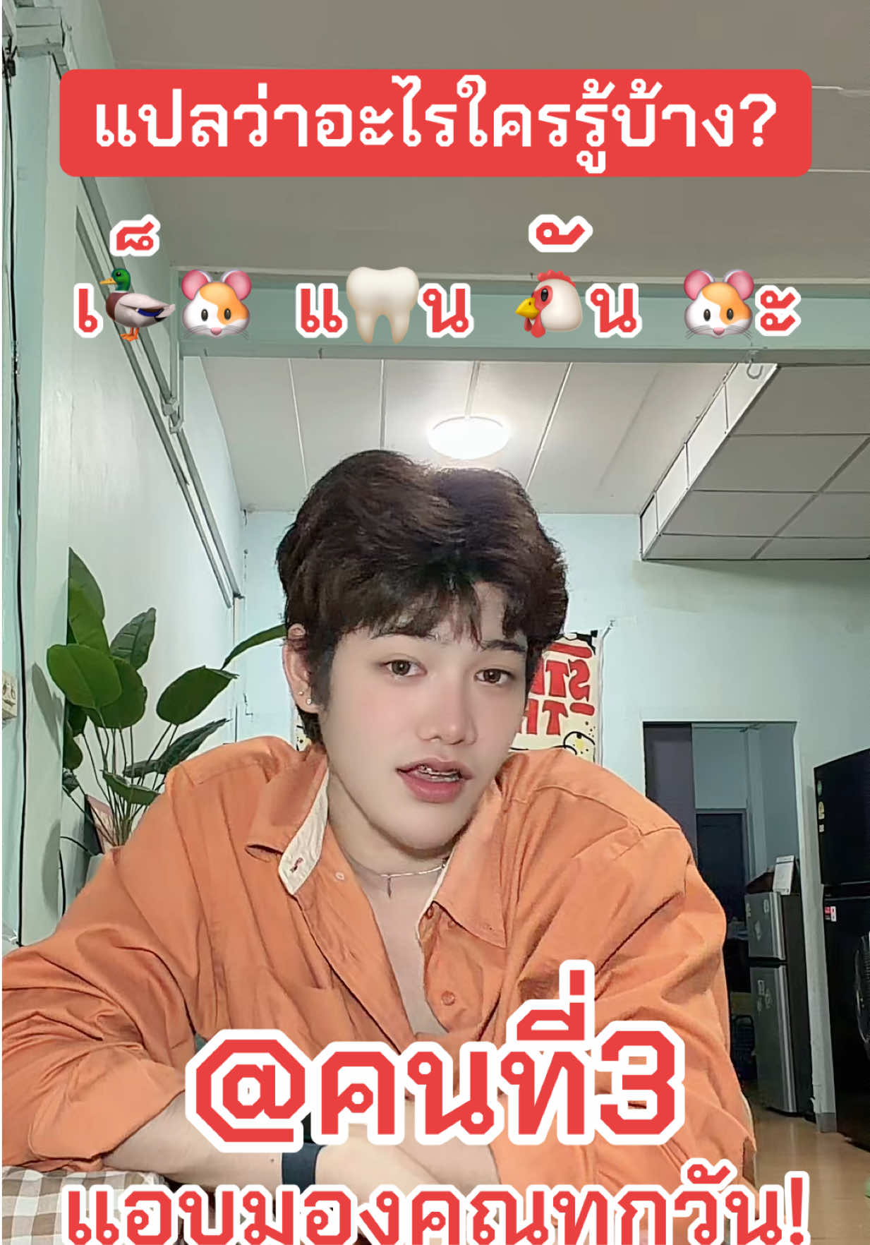 @✨แผ่นฟิล์ม✨