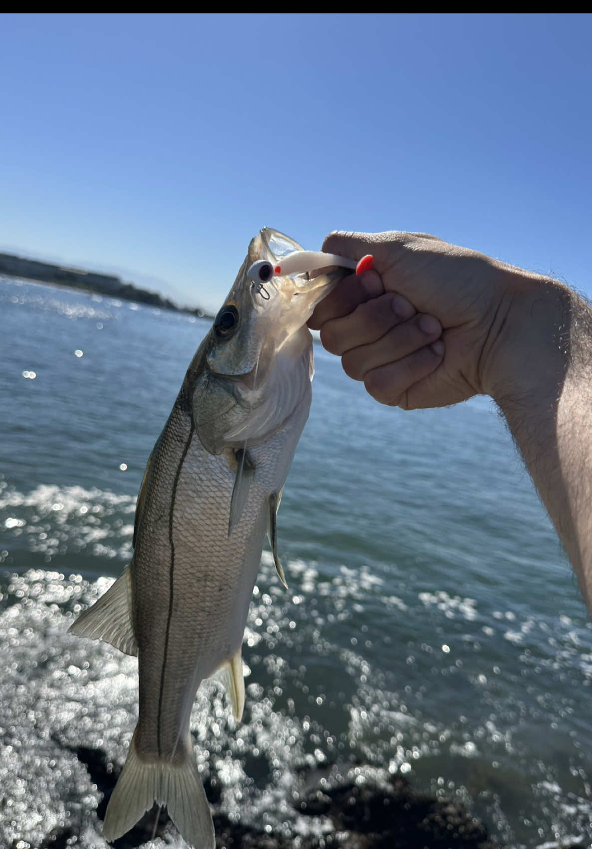 @Bideu Fishing