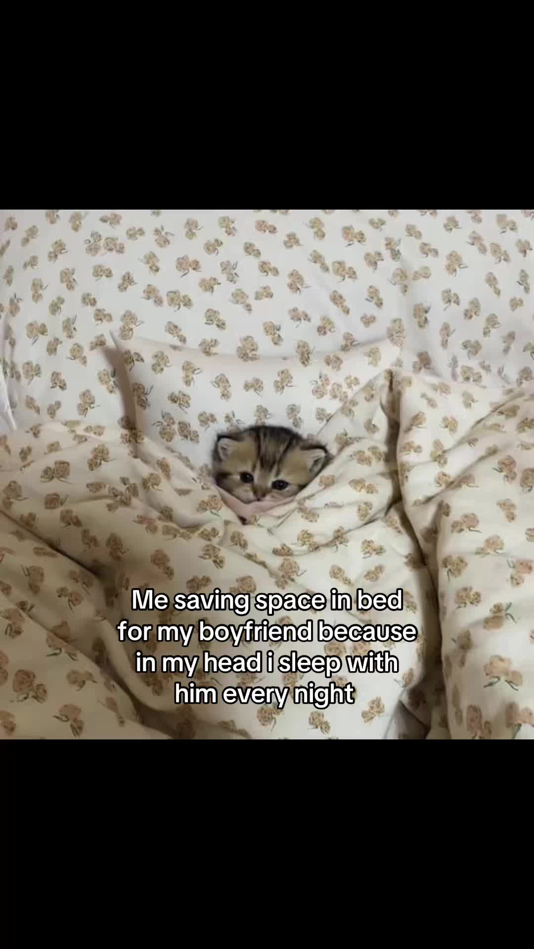 @meowconcept