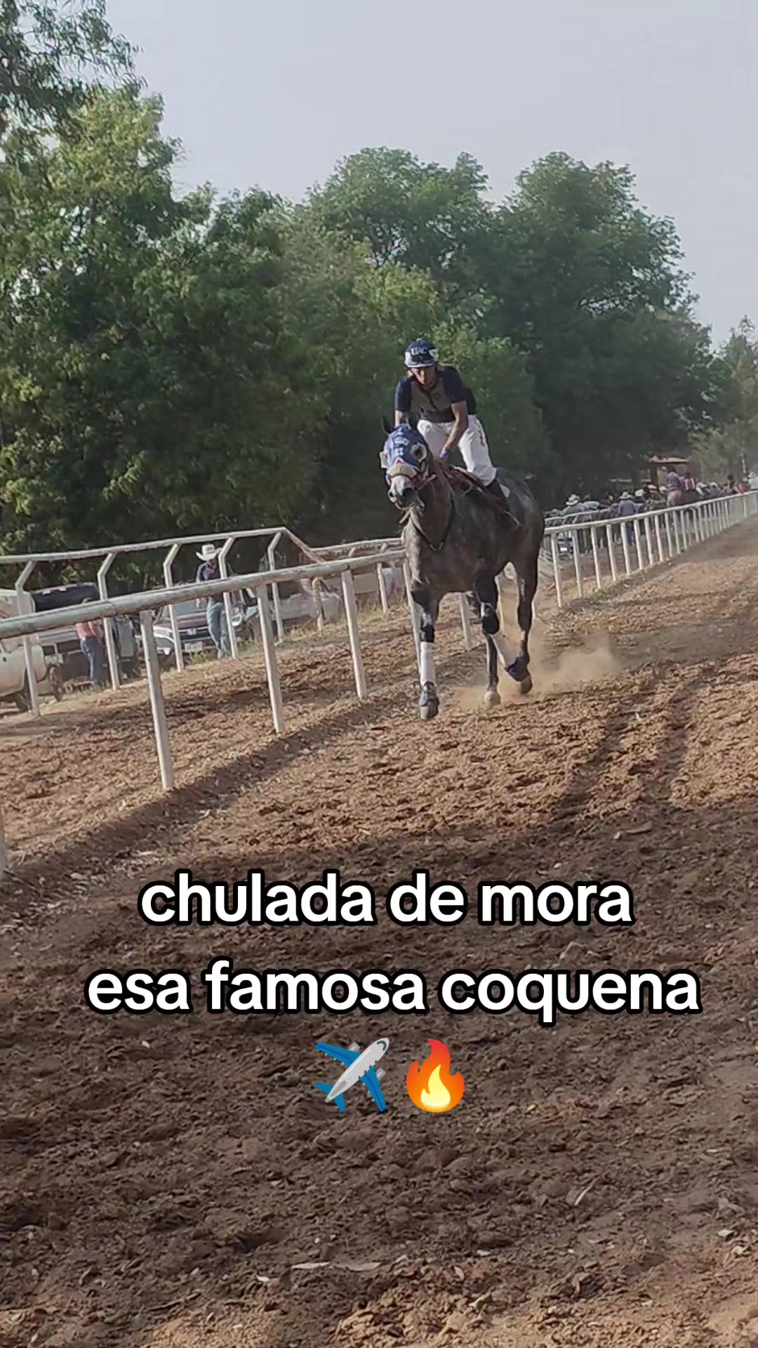 @carriles altos de jalisco🐎