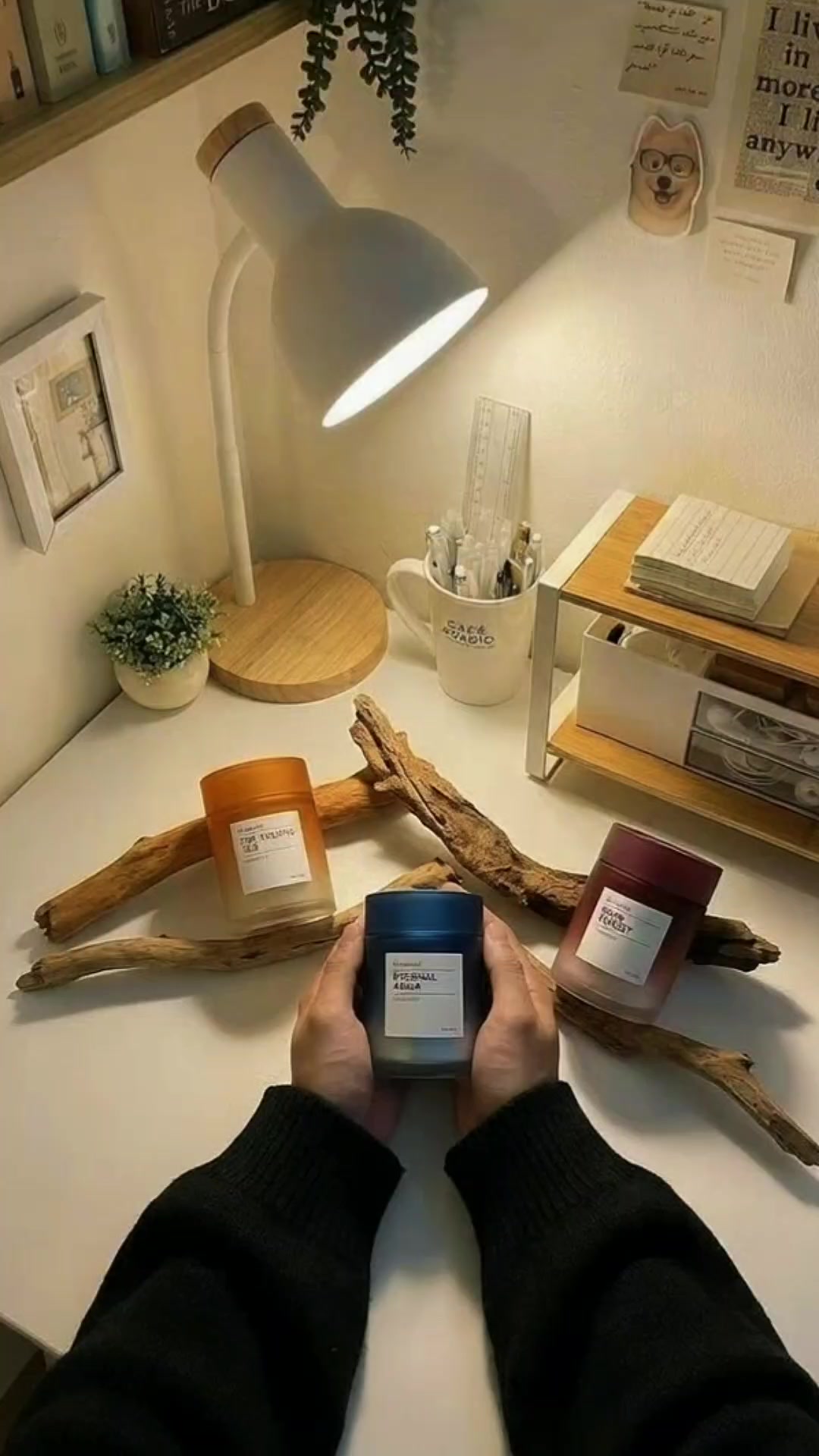 @men's needs store