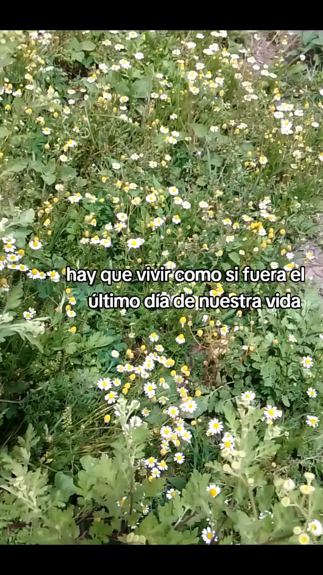 @Kity Ron