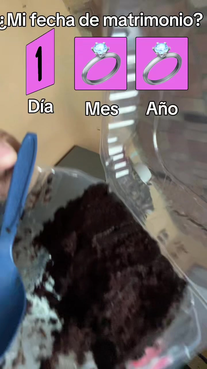 @Tefy
