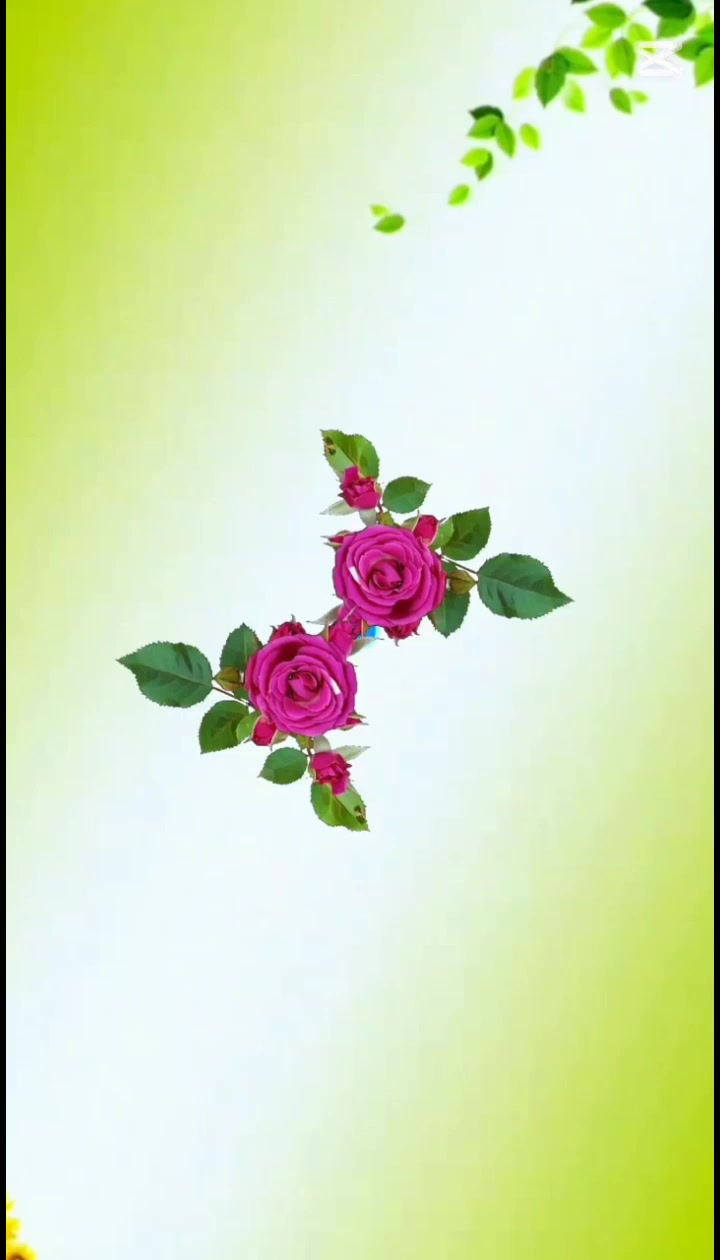 @Sachin Kumar