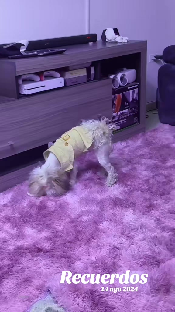 @🎀GαႦιɾυ🎀