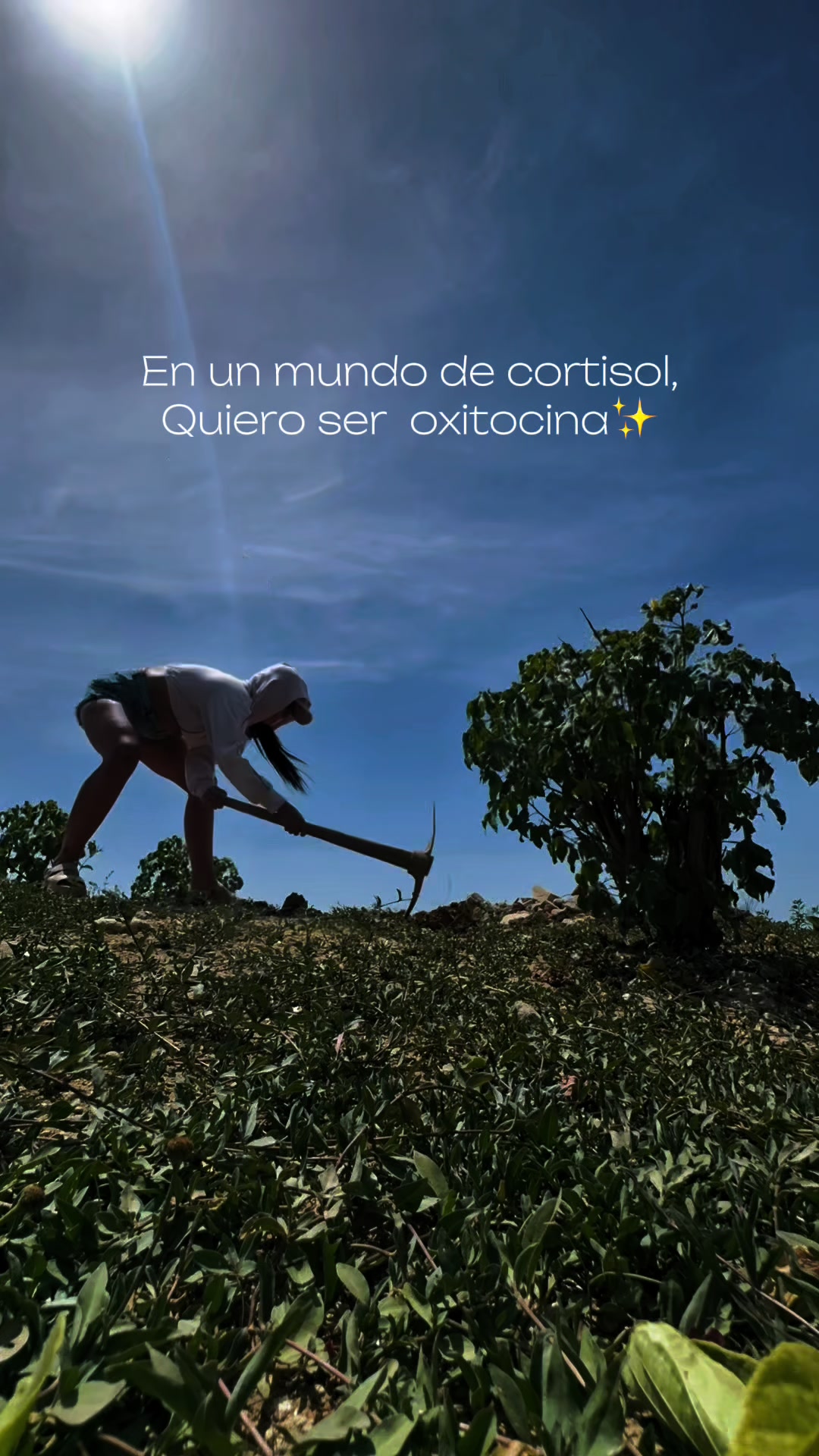 @Mía Rueda