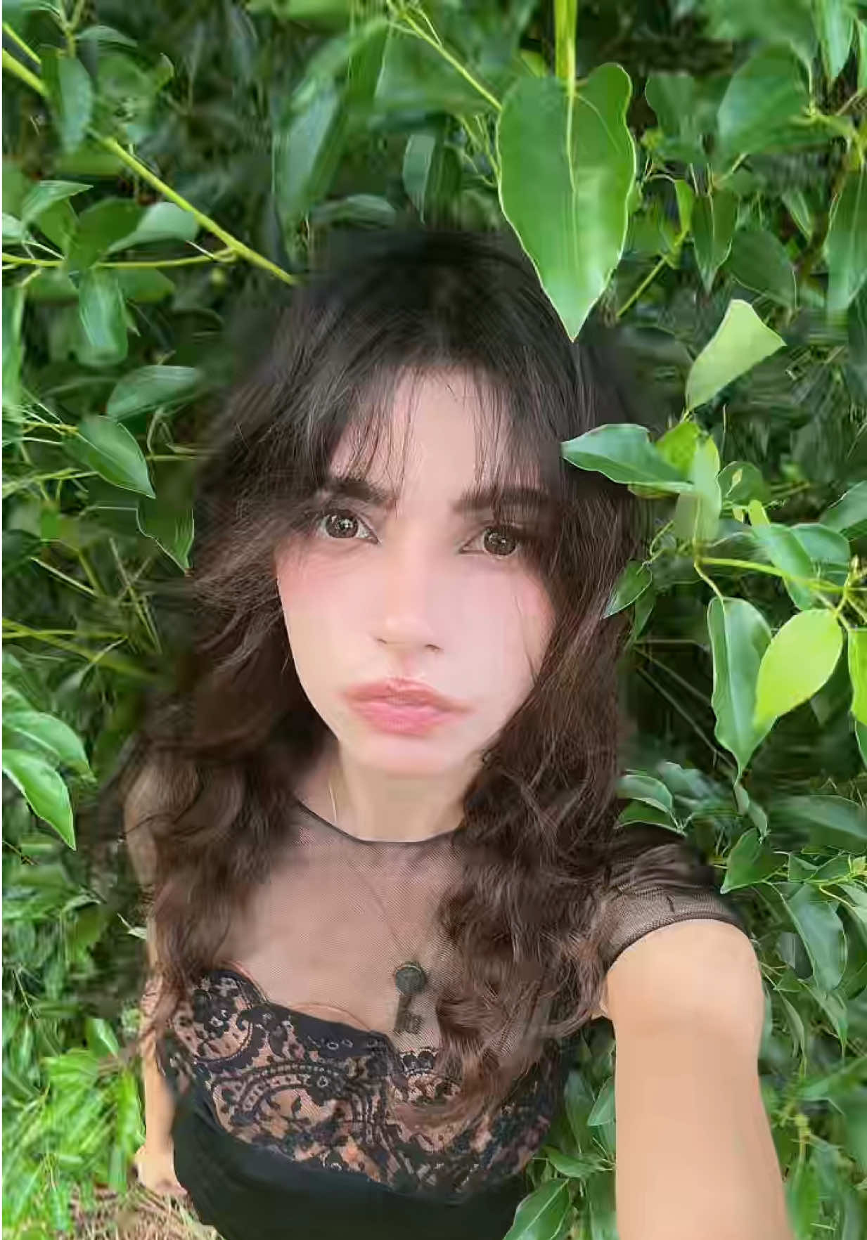 @True fairy jane