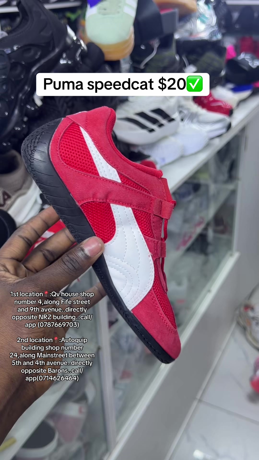 @D n A Sneakers