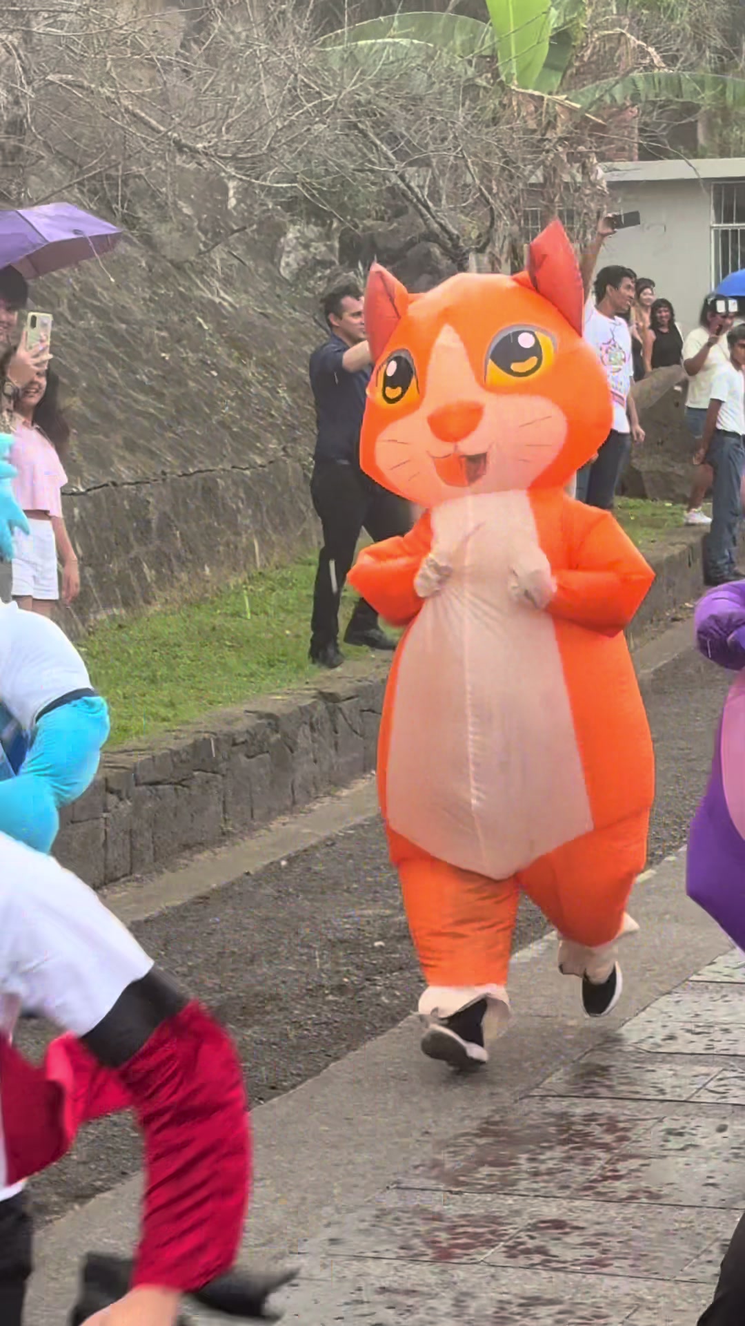 @CIJ Xalapa