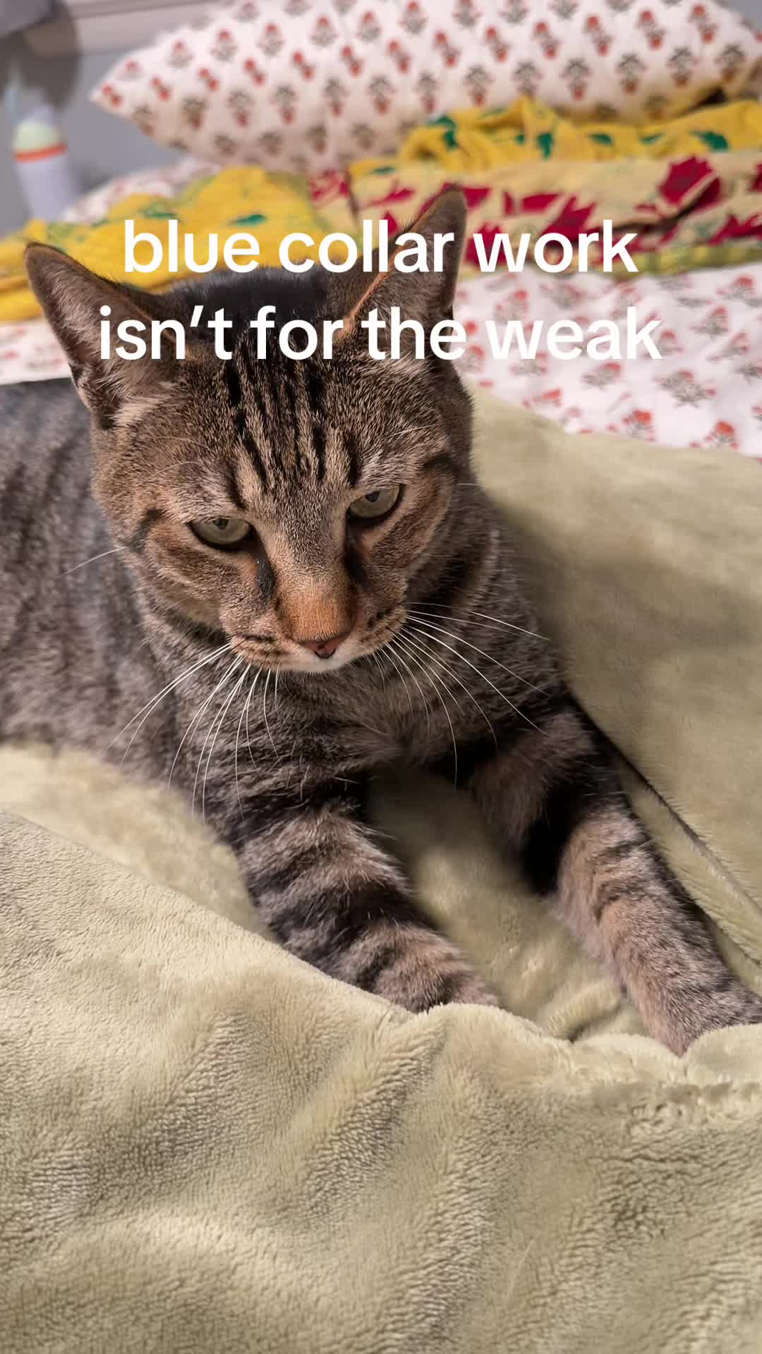 @Nemo