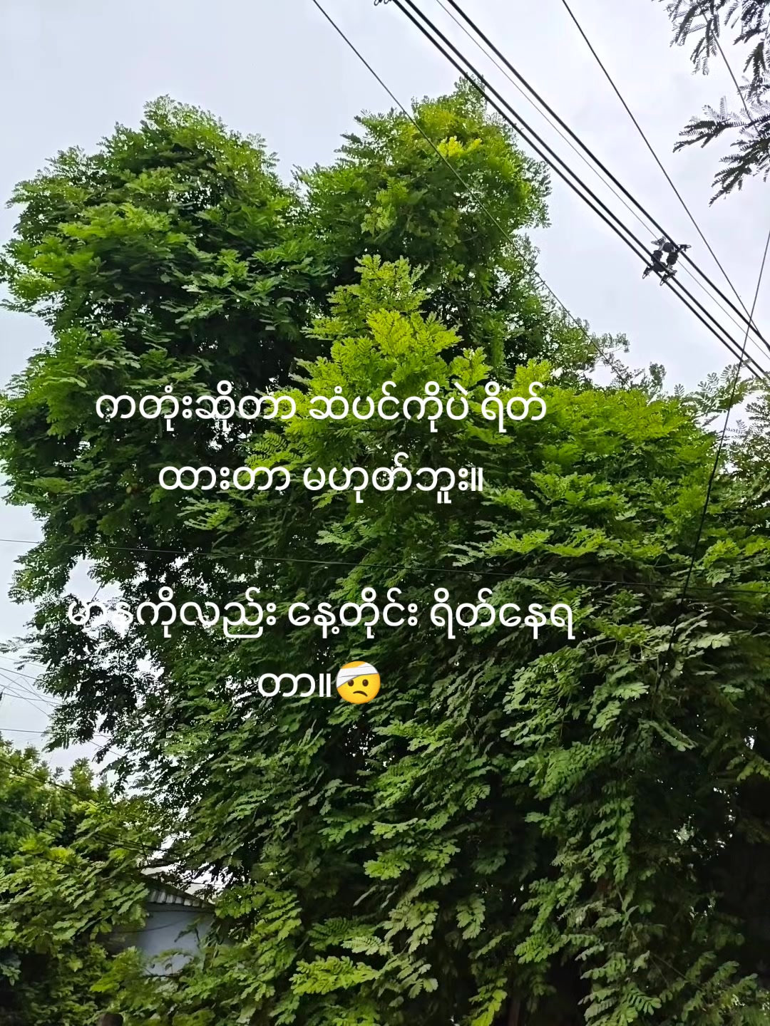 @Wai Yan