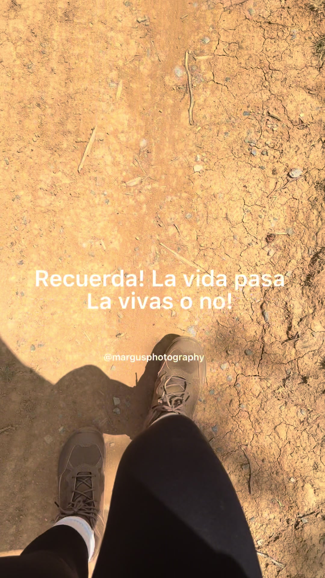 @Lilly Guevara