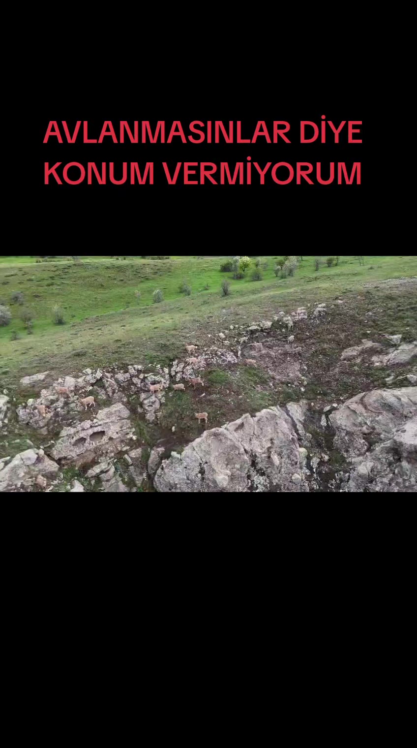 @huseyin58584