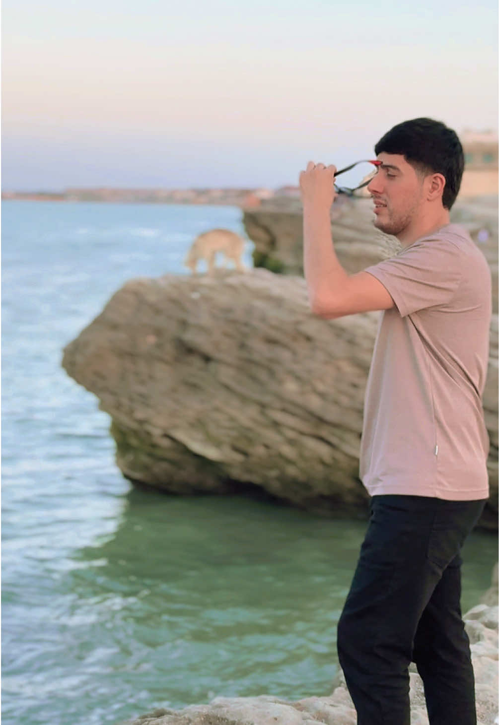 @qerib.memmedzade