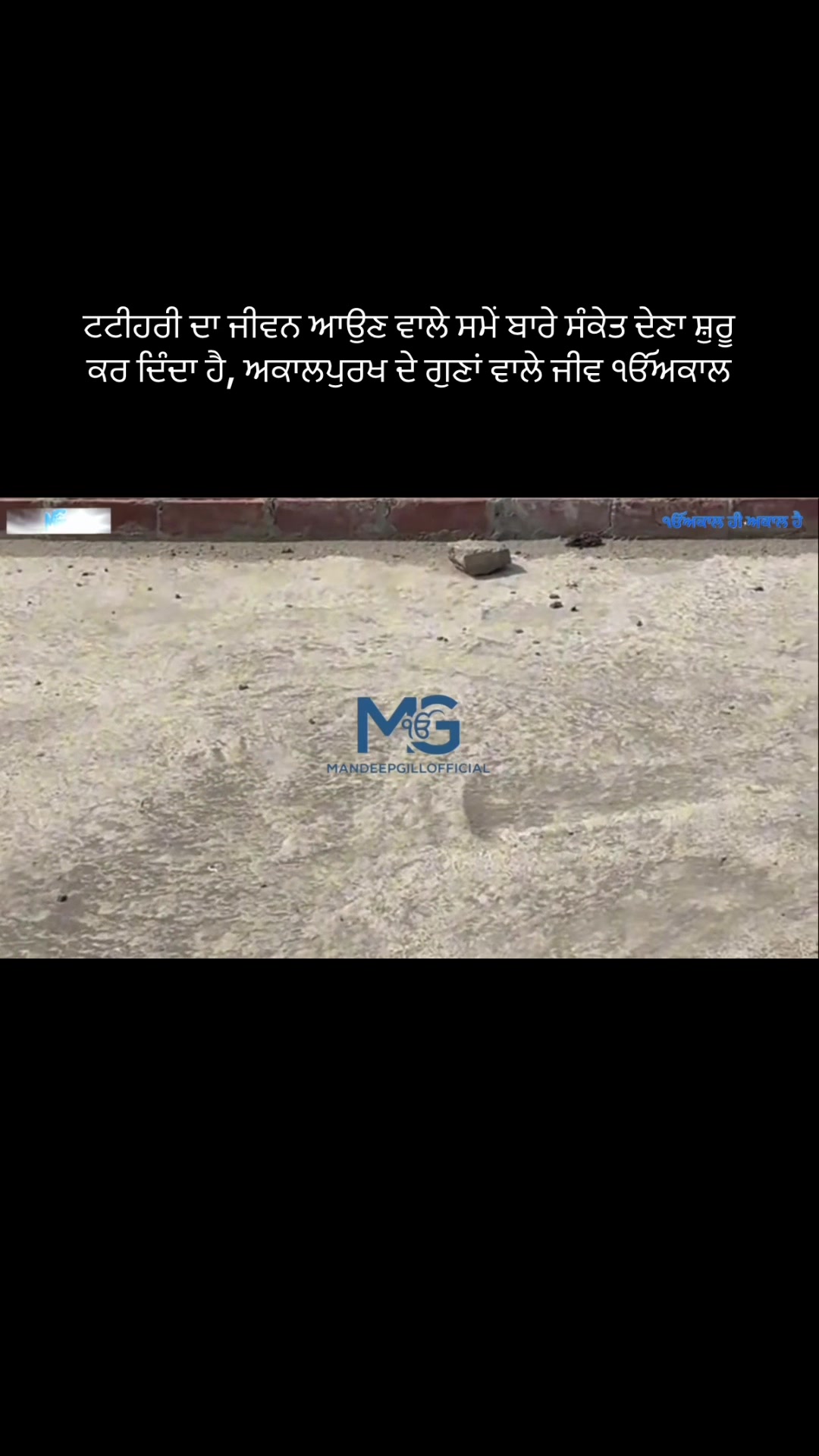 @Mandeep Singh Gill