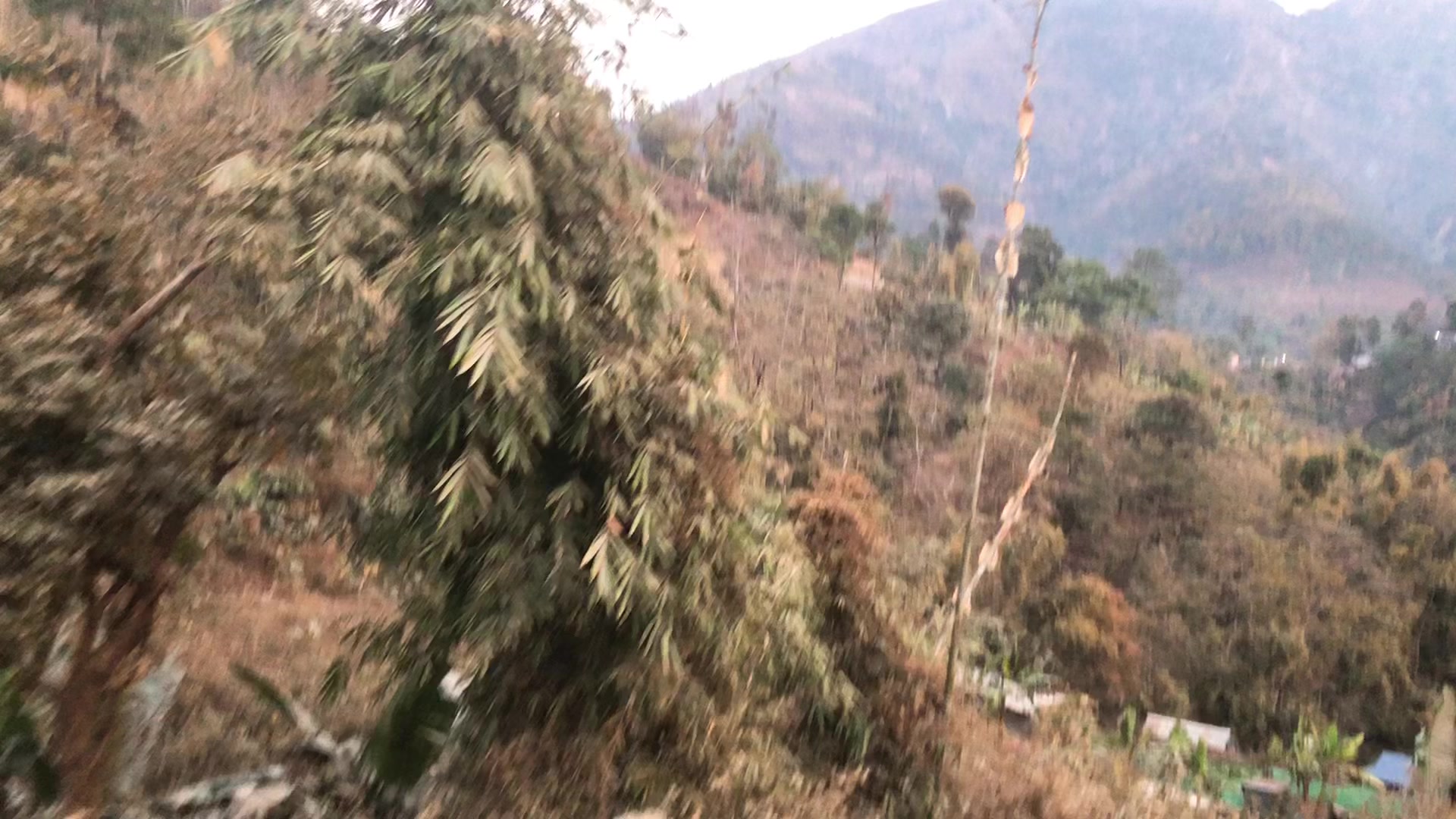 @Pranil Rai